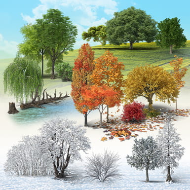 Deciduous Trees Collection