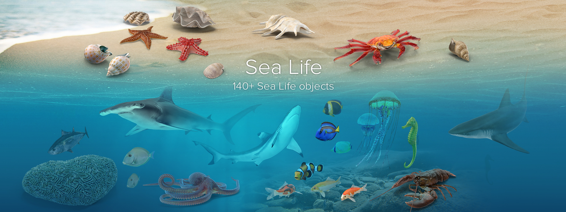 Sea Life Collection PNG Images & PSDs for Download | PixelSquid